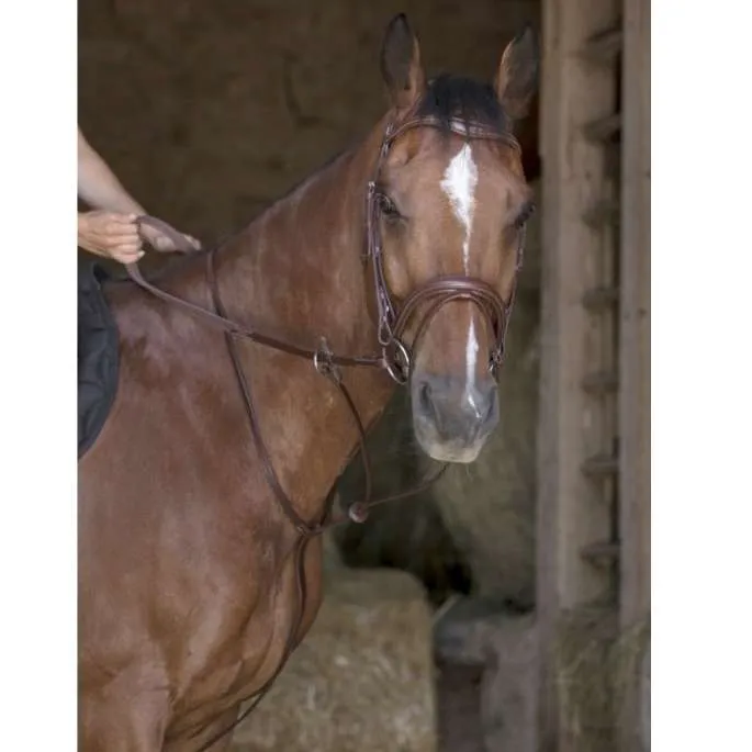 Affaire Saisir Martingale anneaux - Norton Pro - noir - poney (pony )