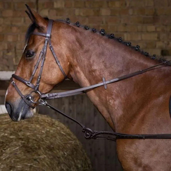Enrnement caoutchouc rond - Riding World - noir Nouvelle Collection