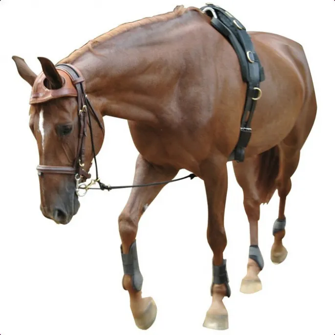 Equilonge Eric le Tixerant - marron - cheval (full ) Offre Spciale