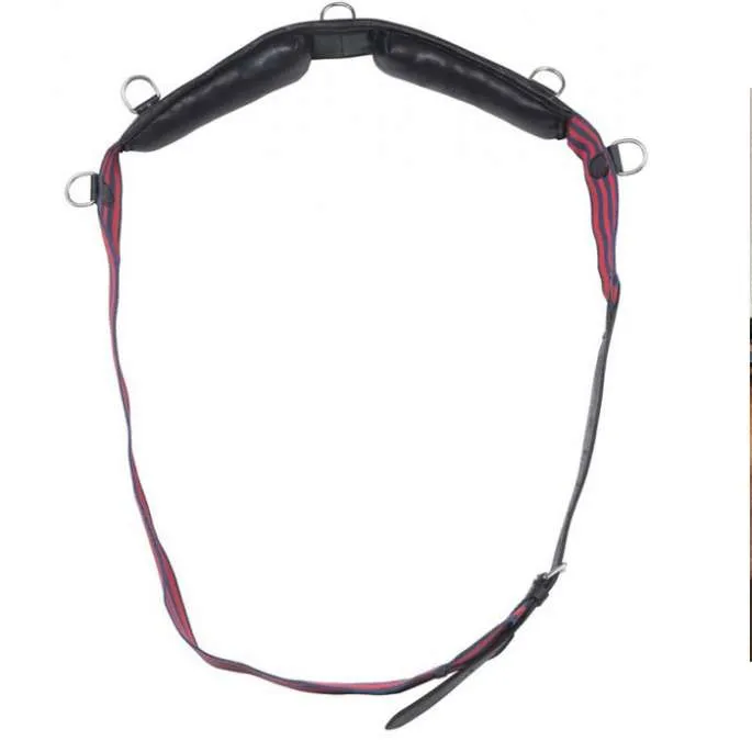 Surfaix sangle - Norton Club - poney (pony ) Produit De Marque