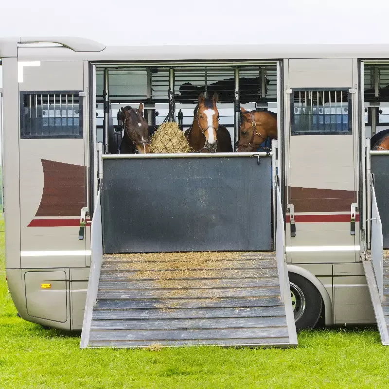 Paiement Scuris Revtement Ramp caoutchouc avec tasseau pour pont de van ou camion cheval IDS