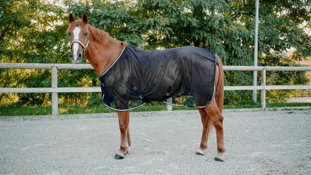 Chemise anti-mouches Equithme Serenity - 145 cm - Marine Meilleur Choix