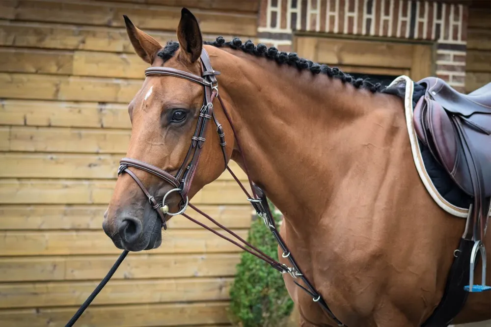 Seulement Aujourdhui Gogue Jump'In One - Cheval - Noir