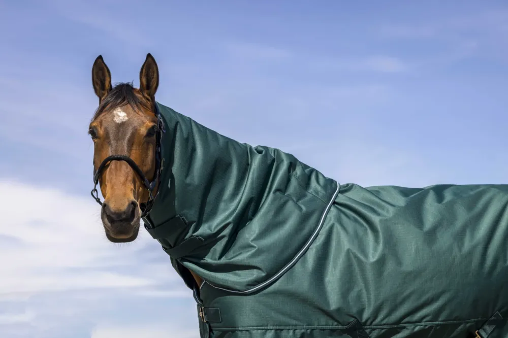 Couvre-cou Equithme Tyrex 600D - Cheval - Vert Commander Vite