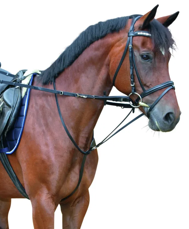 Enrnement Thiedemann Covalliero - Poney - Noir Expdition Rapide