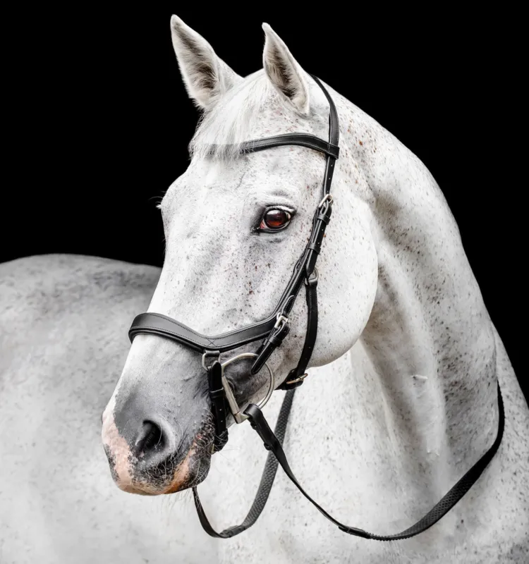 Bridon Horseware Micklem Competition - Grand cheval - Noir Nouvel Arrivage