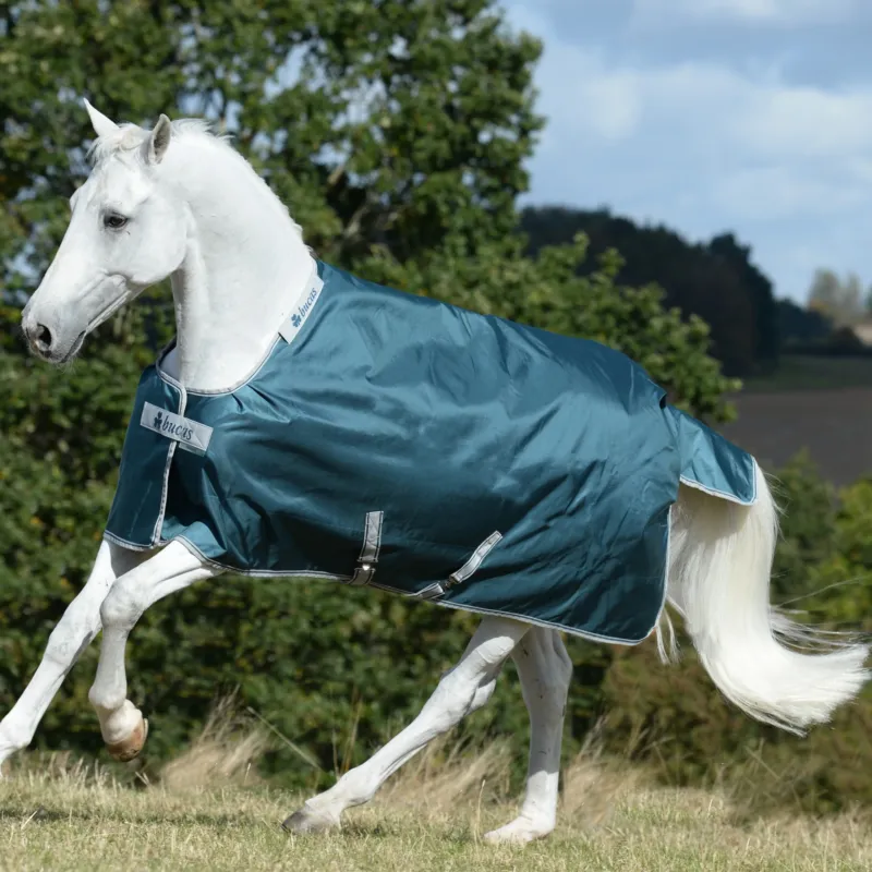 Remise Couverture Bucas Atlantic Turnout 50g 1680D - 145 cm - Vert