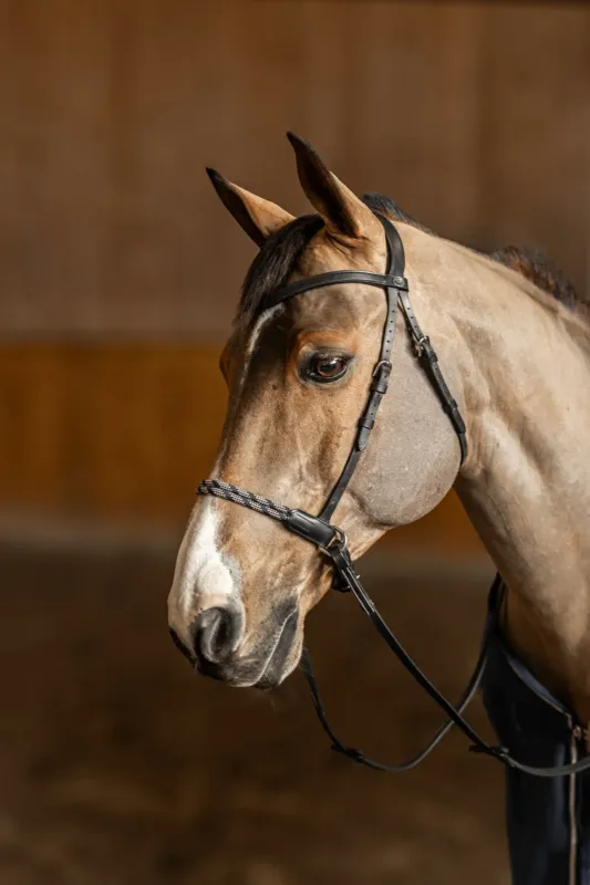 Bridon sans mors Freedom HFI Master - Cob - Noir Affaire Saisir