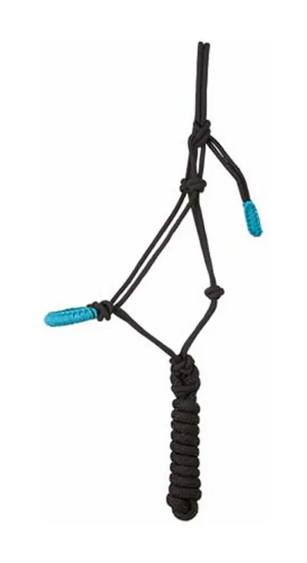 Satisfait Ou Rembours Licol thologique confort + longe T de T - Pur-sang - Noir / turquoise