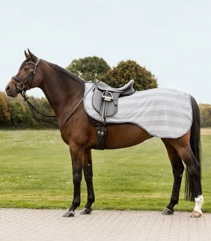 Prix Cass Couvre-reins anti-mouches Waldhausen Economic - Poney - Gris argent
