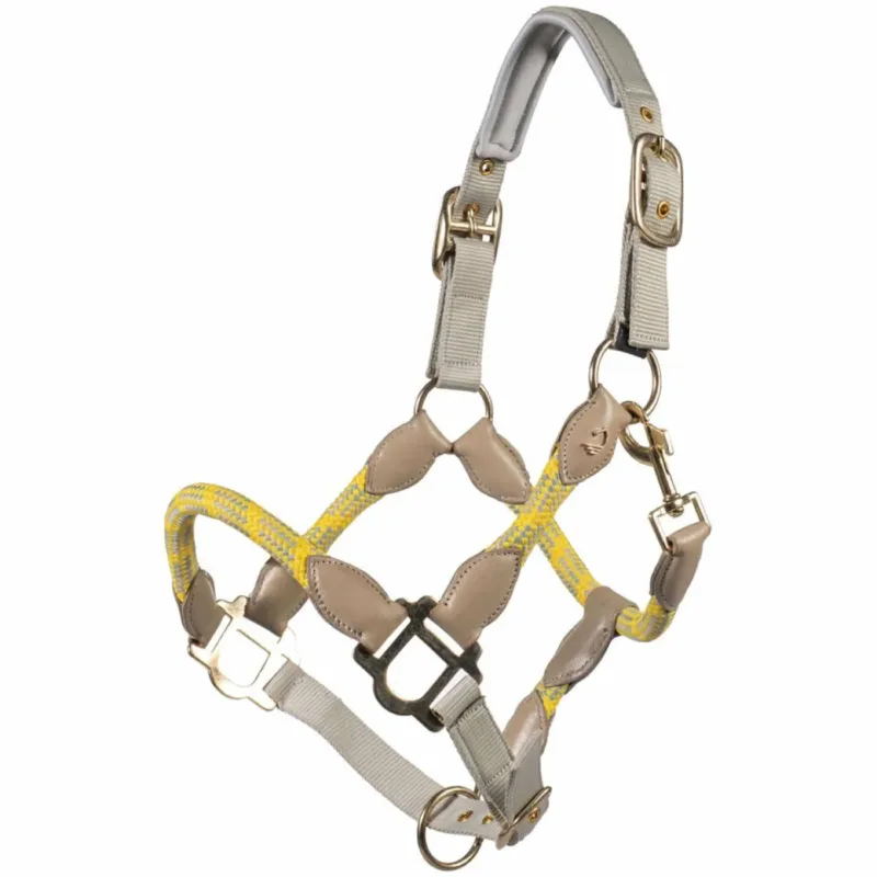 Licol Lauria Garrelli Limone Sportive - Cob - Gris / beige Soldes