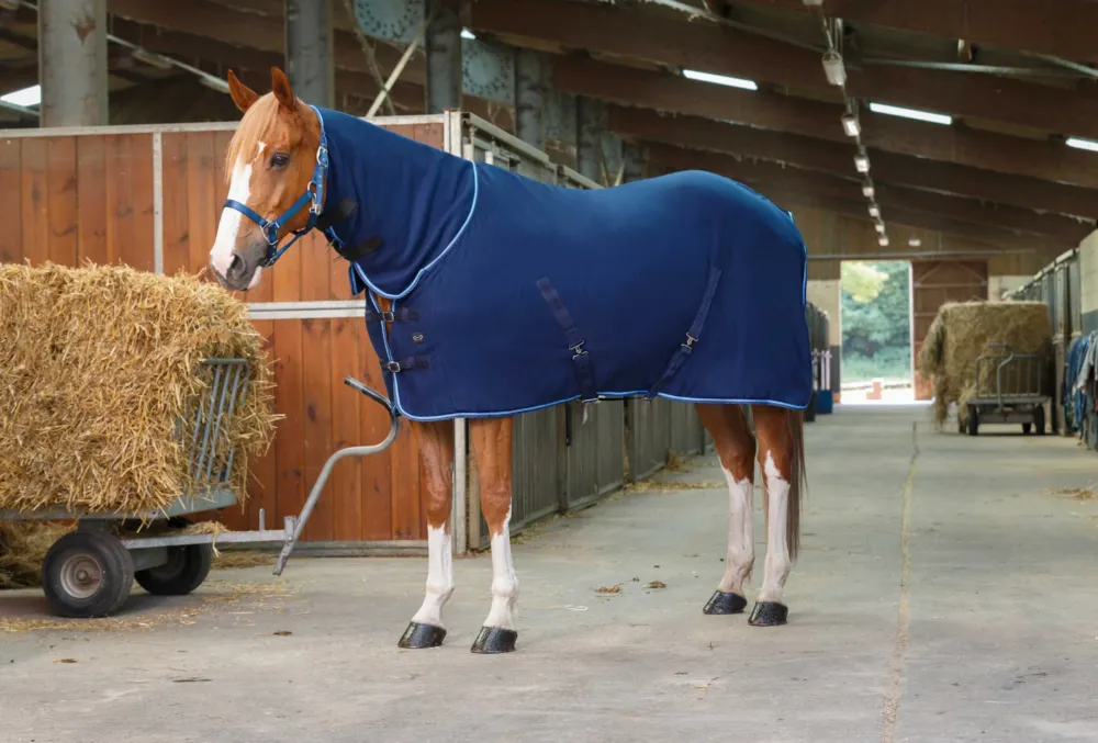 Chemise polaire Riding World Combo - 165 cm - Marine / bleu ciel Dernier Modle