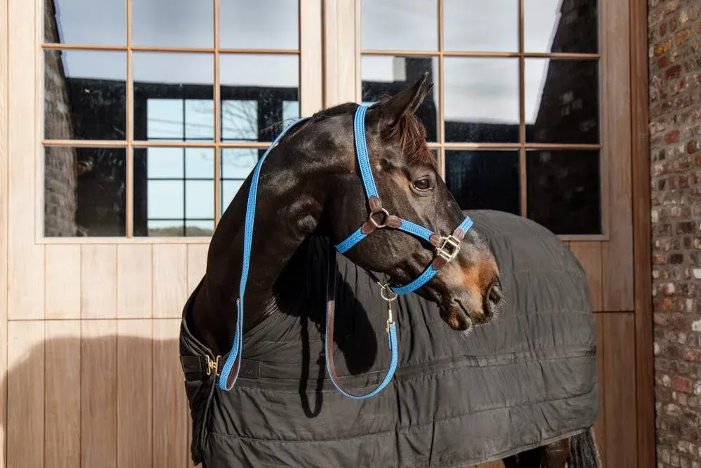 Licol Plaited Nylon Kentucky - Cheval - Bleu clair Must-Have