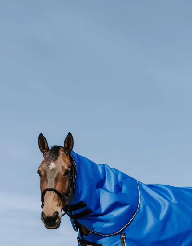 Dernire Chance Couvre-cou Equithme Tyrex Aisance 1200D - Cheval - Bleu roi