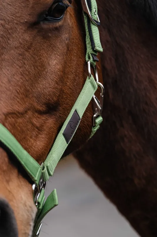Prix Cass Licol Nylon Spring Equithme - Cheval - Vert clair
