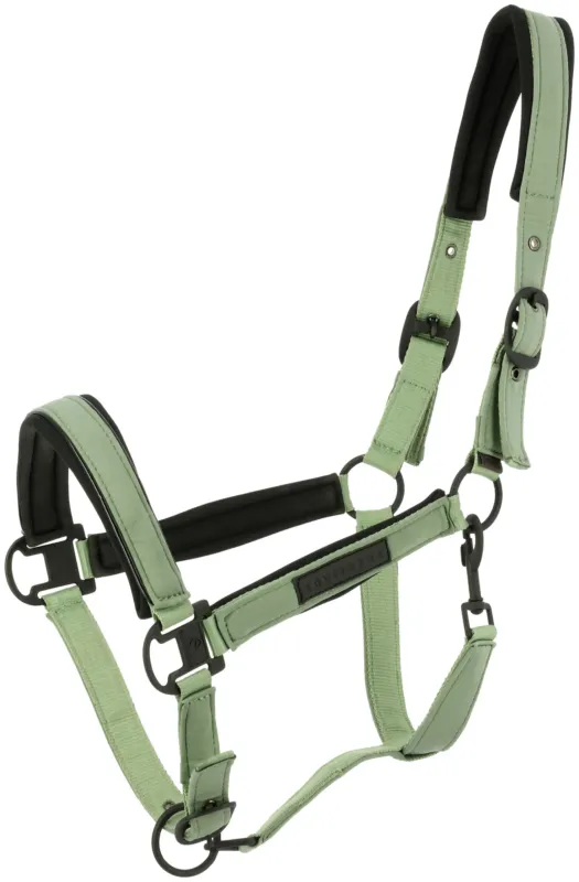 Dernire Chance Licol Equithme Pearl - Cob - Vert