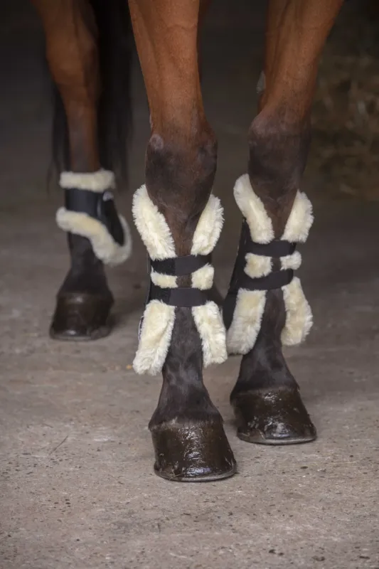 Rduction Gutres Norton XTR mouton synthtique - Poney - Noir