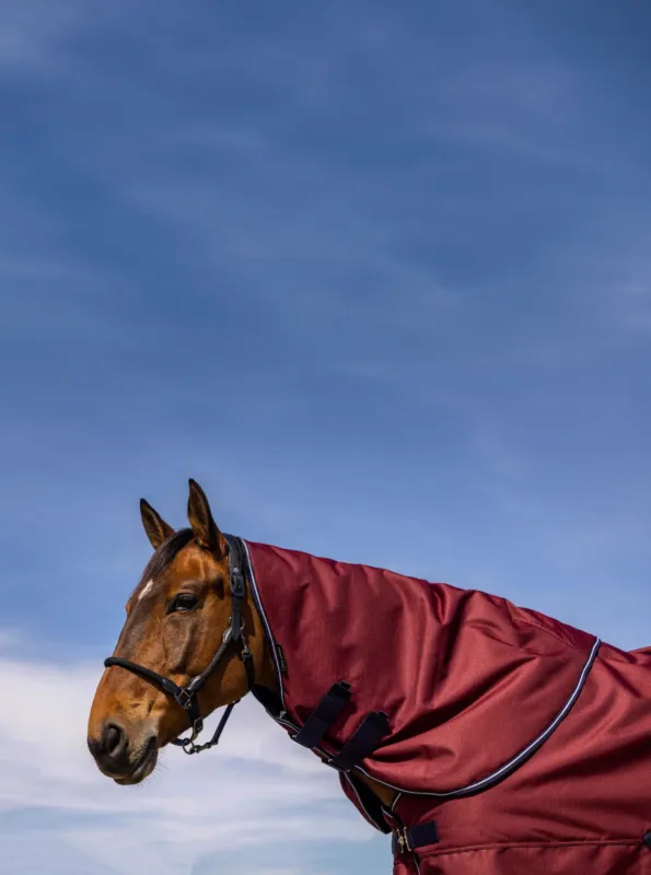 Certifi Couvre-cou Equithme Tyrex 1200D - Cheval - Bordeaux
