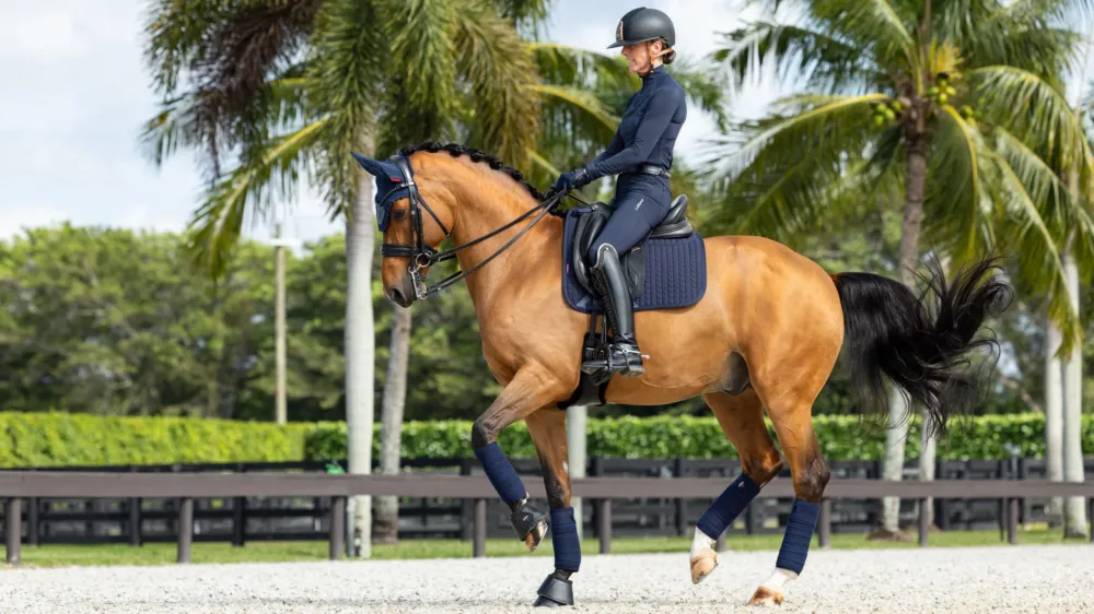 Tapis amortisseur LeMieux dressage square ProSorb 2 Poches - L - Marine Nouvelle Collection