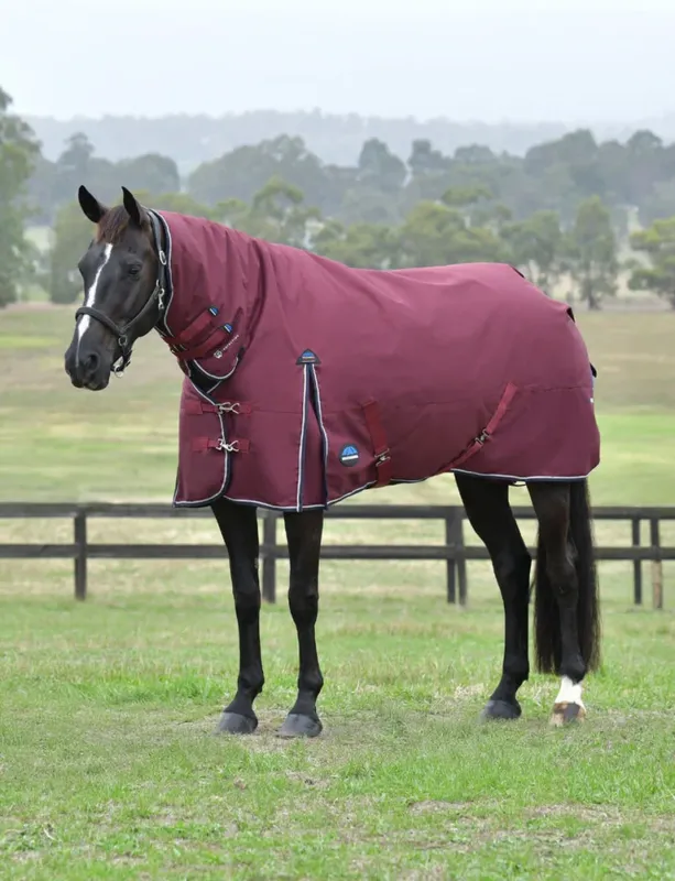 Must-Have Couverture ComFiTec Essential Turnout Weatherbeeta 50g combo - 160 cm - Bordeaux / marine