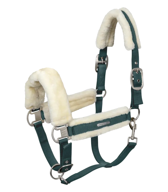 Licol Waldhausen Soft - Cob - Vert sapin Authentique