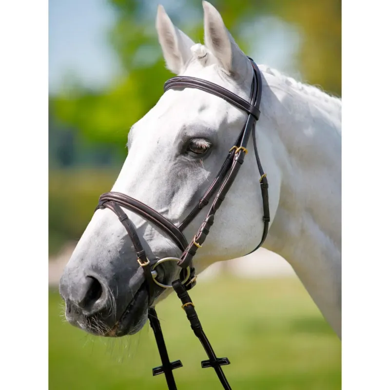 Achat Immdiat Bridon Tattini muserolle combine - Poney - Marron