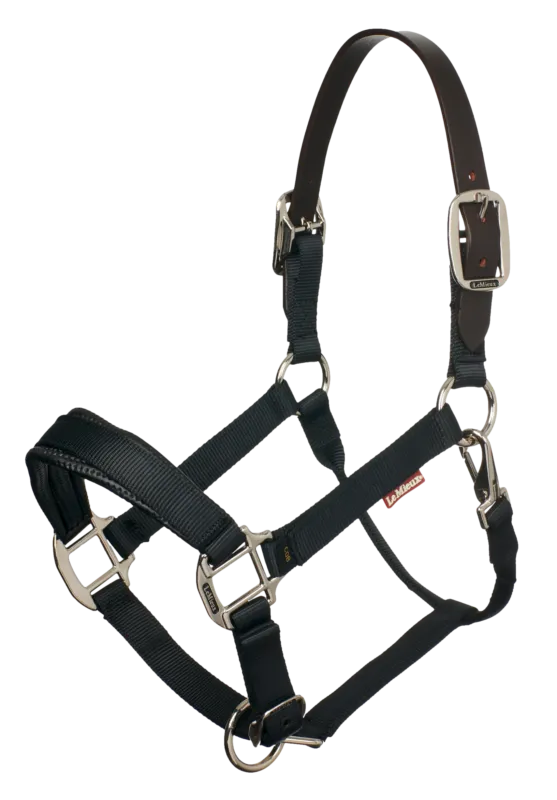 Licol Break Away LeMieux - Cheval Quantit Limite