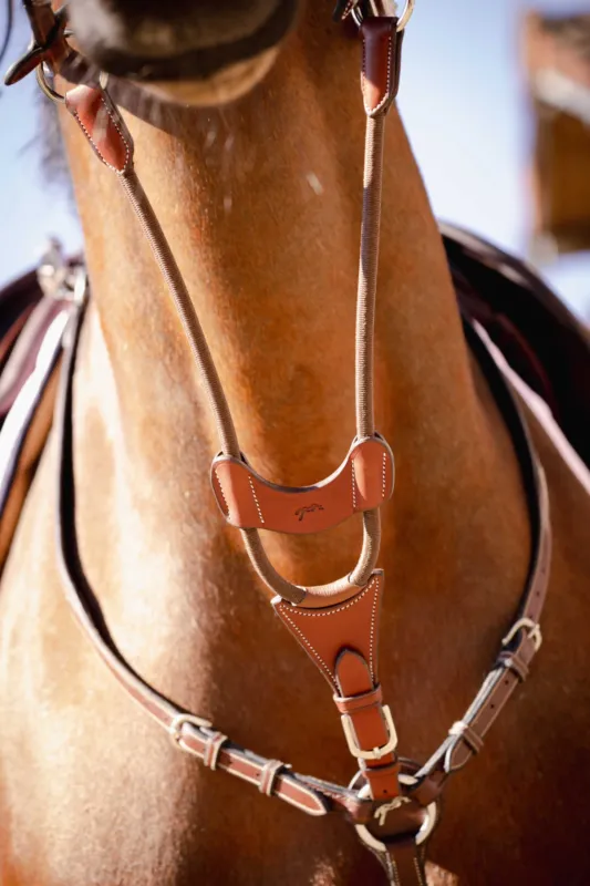 Offre Limite Flche de martingale Pnlope Bip Light US lastique - Noisette