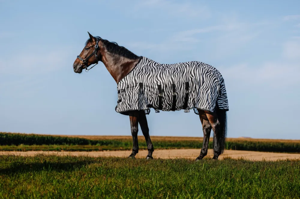 Acheter Direct Couverture Riding World Belly Mesh - 145 cm - Noir / blanc motif zbre