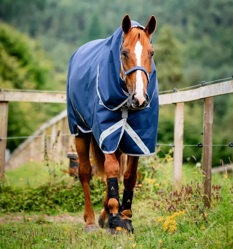 Affaire Saisir Couverture Horseware Amigo Bravo 12 Plus 250g 1200D - 140 cm - Marine / gris titanium / argent