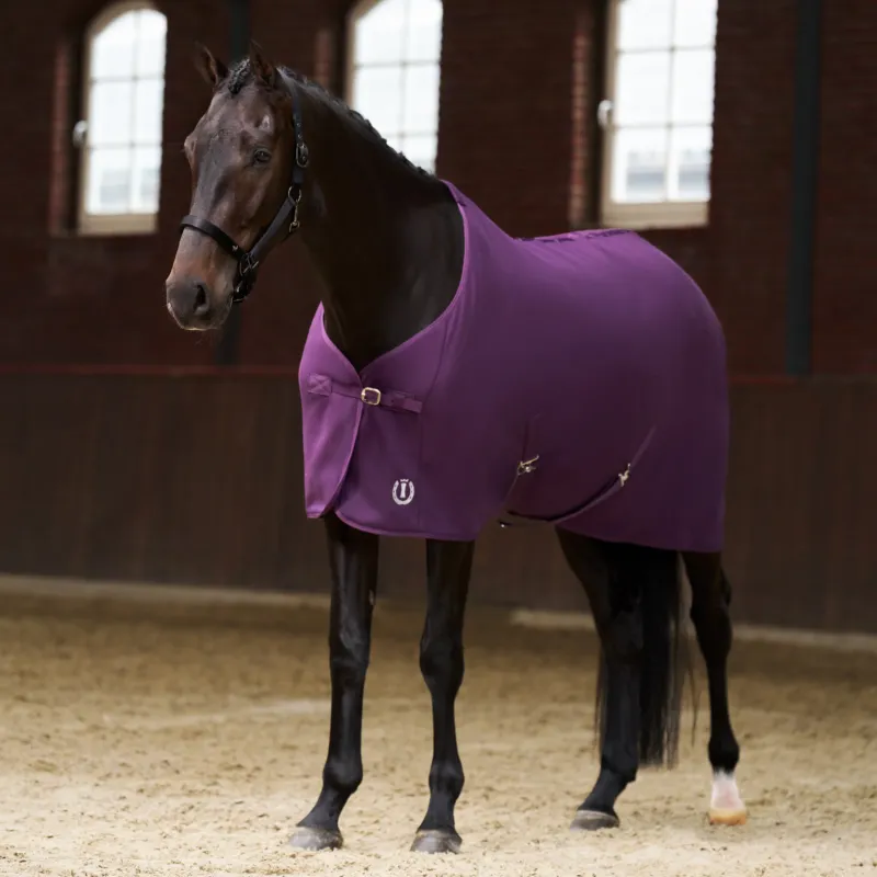 Must-Have Couverture polaire Imperial Riding Fundamental - 125 cm - Figue
