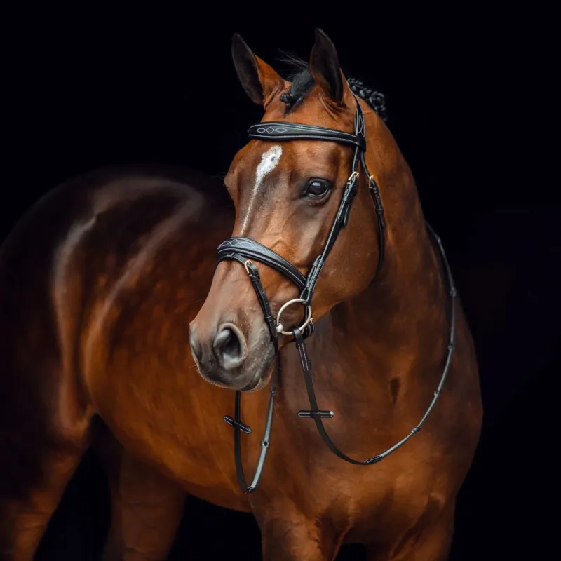 Filet Sion avec rnes Horze - Grand cheval - Noir Offre Du Jour