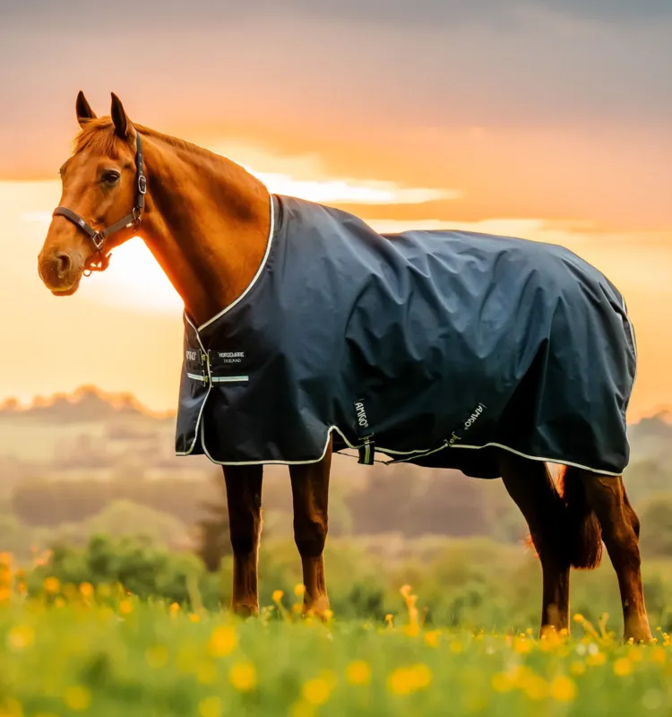 Offre Du Jour Couverture Horseware Amigo Ripstop 900D Turnout 100g - 160 cm - Marine witney