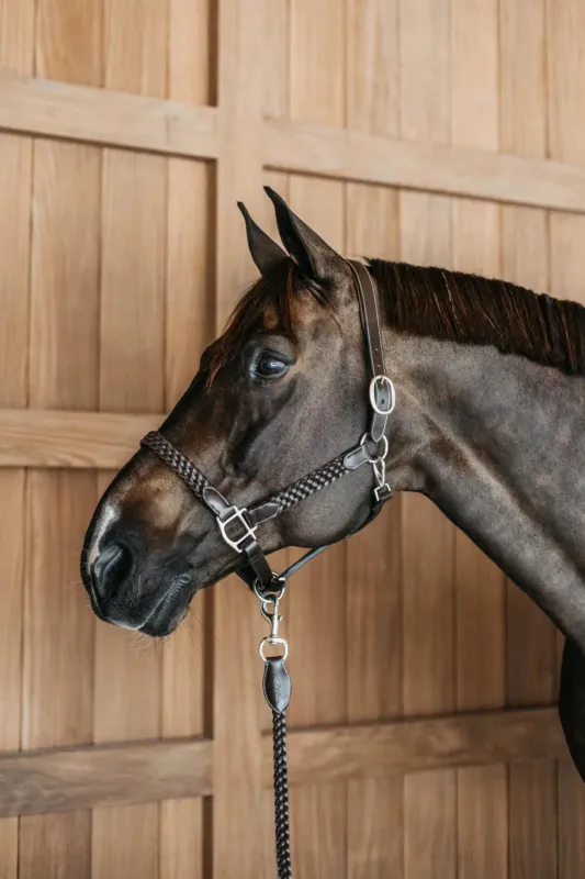 Expdi Aujourdhui Licol tress Working By Dy'on - Grand cheval - Marron