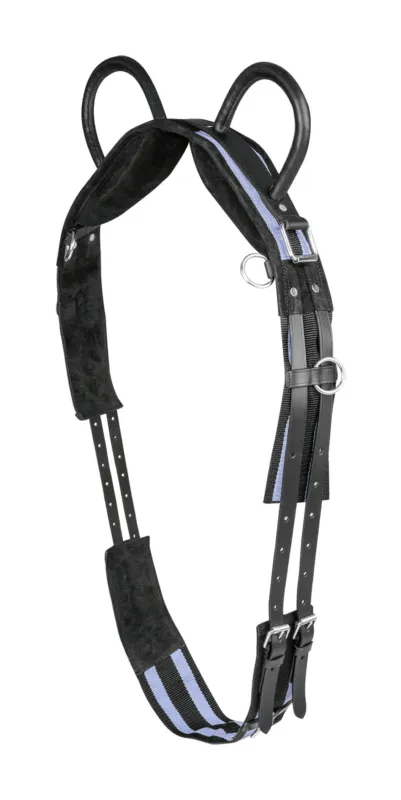 Prix Bas Surfaix Waldhausen 2 poignes - Mini shetland - Noir / gris
