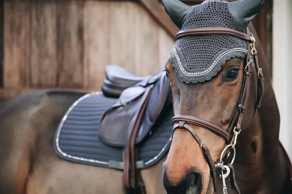 Bonnet Wellington Stone & Pearl Kentucky - Cheval - Gris Haute Qualit
