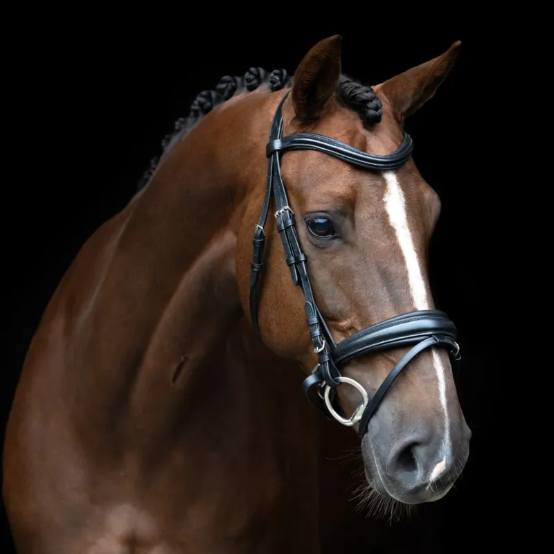 Bridon anglais Imperial Riding combine Sleek - Poney - Noir Promotion Saisonnire