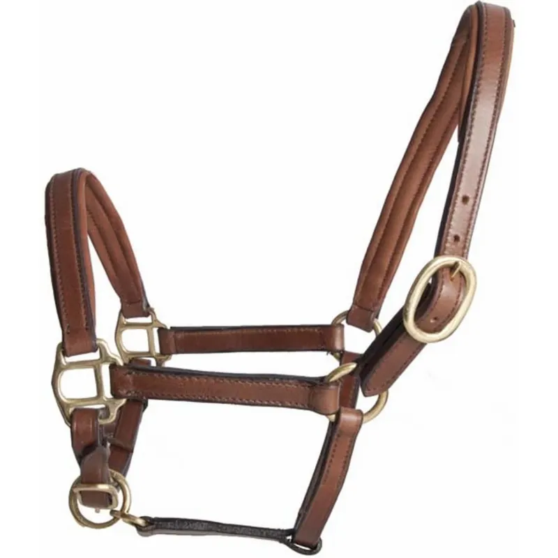 Offre Spciale Licol foal en cuir T de T - Poulain - Tabac