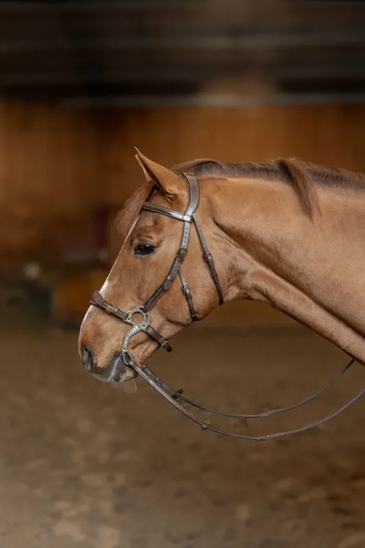 Bridon Hackamore HFI Master - Cob - Marron Remise