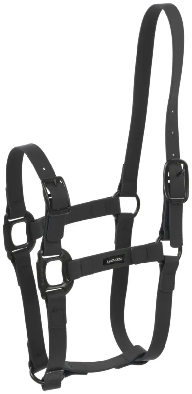 Bon Plan Licol Lami-Cell Flexicare – Cob – Noir