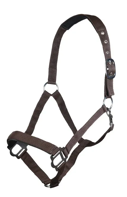 Petit Prix Licol Sydney Style HKM - Cheval de trait - Marron fonc