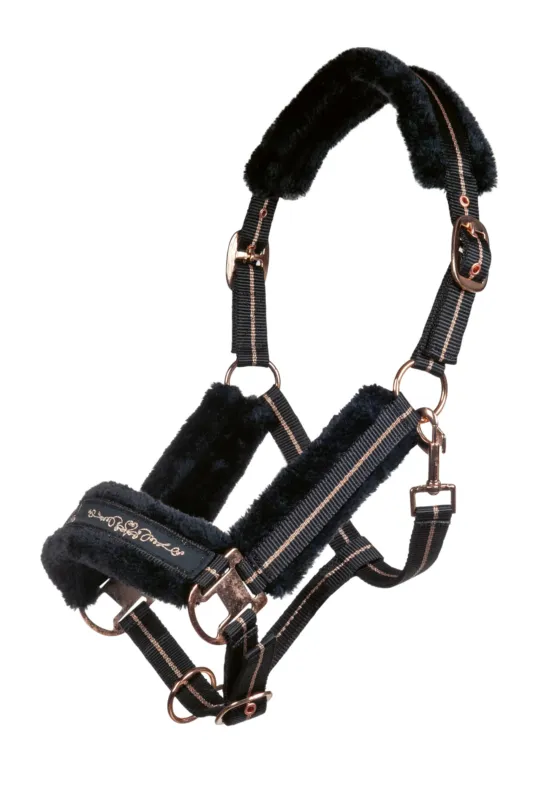 Vente Directe Licol Rosegold HKM - Pur-sang - Noir / or rose