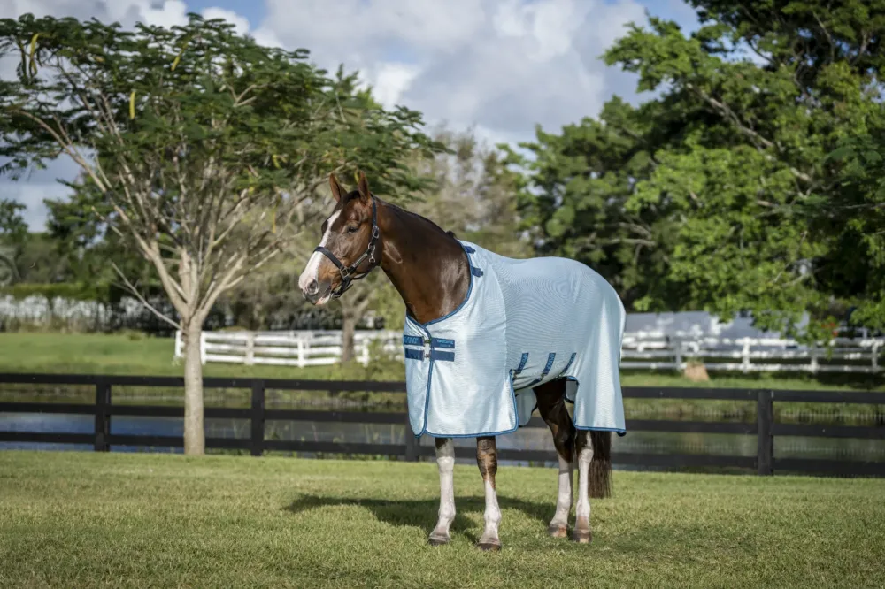 Prix Rduit Chemise anti-mouches Horseware Amigo Bug Buster - 155 cm - Bleu azure / marine / bleu lectrique