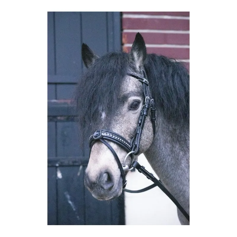 PNLOPE – Bridon Eden – Poney – Noir Rduction