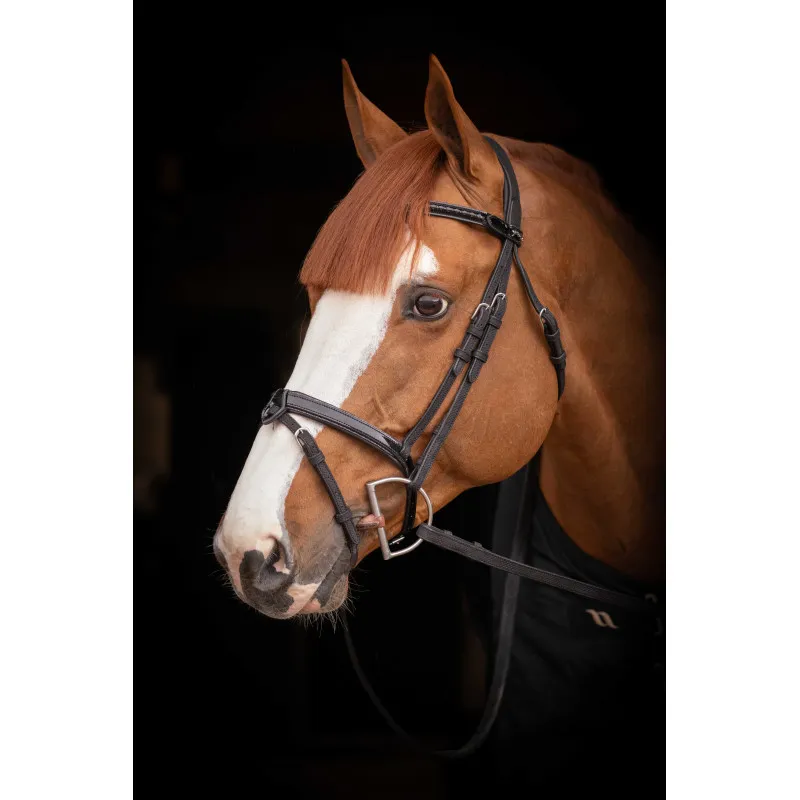 PNLOPE – Bridon Oxford – Cob – Noir Jusqu puisement Des Stocks