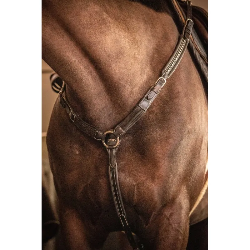 Meilleur Prix PNLOPE – Collier de chasse Martin – Cheval – Havane