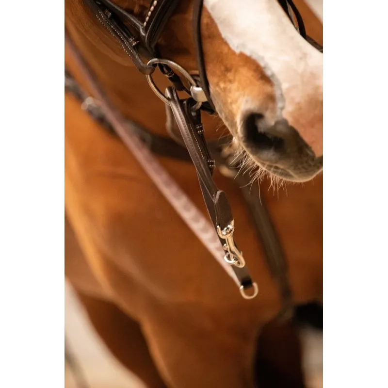 PNLOPE - Enrnement Howlett - Cheval - Noir Commander Maintenant