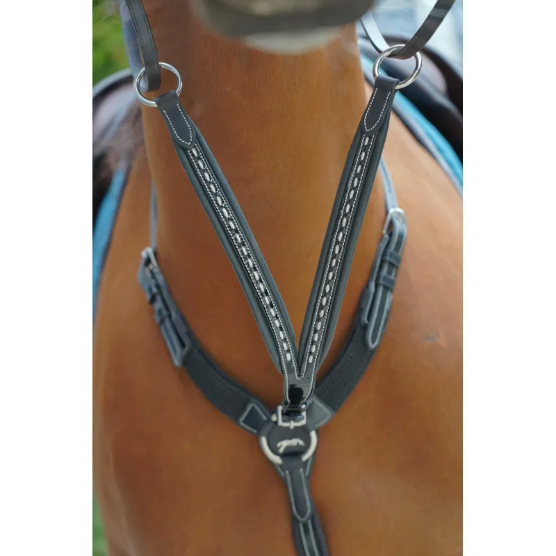 Commander Maintenant PNLOPE – Fourche de martingale Point Sellier – Cheval – Noir