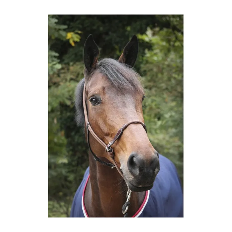 PNLOPE – Licol thologique – Cheval – Noir Petit Prix