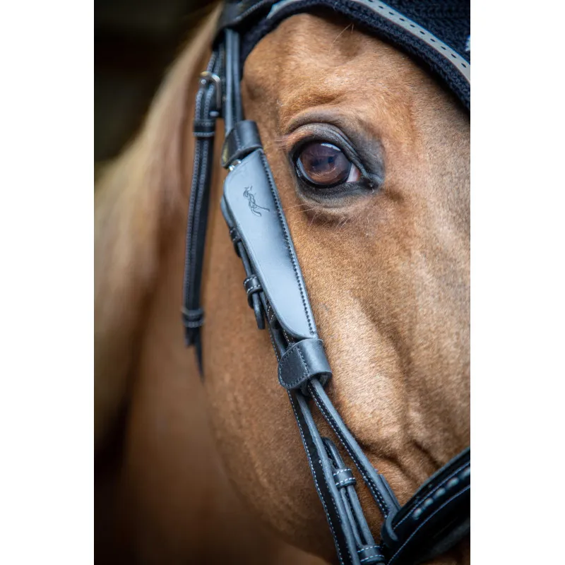 PENELOPE – Oeillres Blinkers – Cheval – Noir Achetez Aujourdhui